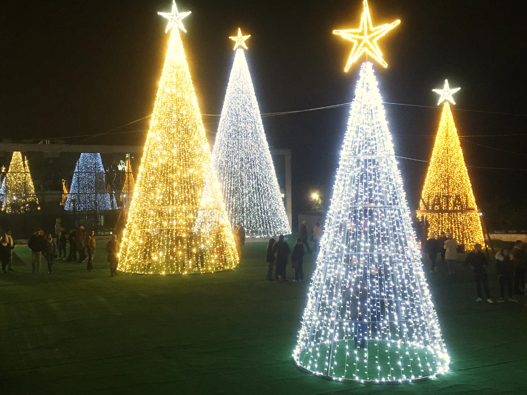 Árvores de Natal